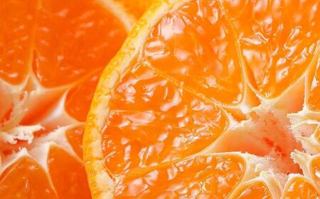 JAにしうわ みつる共選 「蜜る」8kg（2S～2L）4kg×2箱※離島への配送不可（2025年11月中旬より順次発送予定） 【 柑橘 ミカン みかん 蜜る 生果 】 IKTBC013