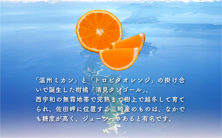 【先行予約】清見タンゴール（貯蔵・生果5kg）※離島への配送不可（2026年4月下旬より順次発送予定） IKTBD007