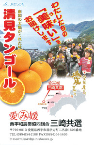 【先行予約】清見タンゴール（貯蔵・生果5kg）※離島への配送不可（2026年4月下旬より順次発送予定） IKTBD007