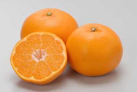 【先行予約】【数量限定】はるみ（生果5kg）※離島への配送不可（2026年1月下旬より順次発送予定） IKTBD009 | みかん みかん