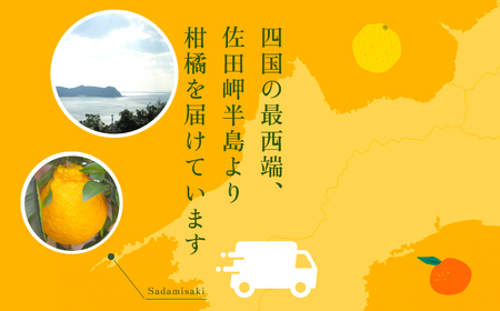 【先行予約】不知火(生果5kg)※離島への配送不可(2026年2月上旬より順次発送予定) IKTBD011
