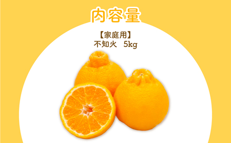 【先行予約】【家庭用】不知火 5kg ※離島への配送不可（2026年2月上旬より順次発送予定） IKTBD016