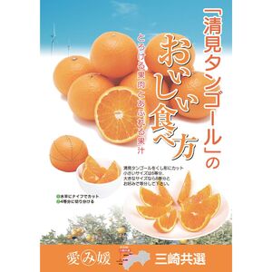 【先行予約】【家庭用】清見タンゴール 5kg ※離島への配送不可（2026年3月上旬より順次発送予定） IKTBD017
