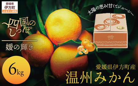 【愛媛県伊方町産】太陽の恵み!甘くてジューシーなみかん 媛の輝き 6kg(2025年11月下旬頃より順次発送) 【ふるさと納税 人気 おすすめ ランキング みかん ミカン 柑橘 媛の輝き 温州みかん 果物 フルーツ 伊方サービス 愛媛県産 愛媛県 伊方町 送料無料】 IKTE006