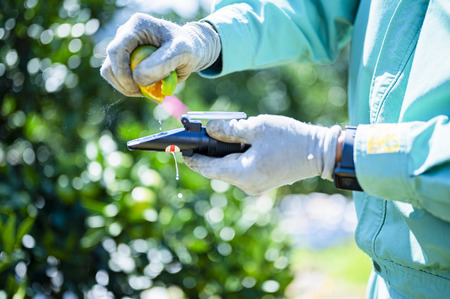 【愛媛県伊方町産】太陽の恵み!甘くてジューシーなみかん 媛の輝き 6kg(2025年11月下旬頃より順次発送) 【ふるさと納税 人気 おすすめ ランキング みかん ミカン 柑橘 媛の輝き 温州みかん 果物 フルーツ 伊方サービス 愛媛県産 愛媛県 伊方町 送料無料】 IKTE006