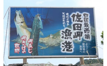 【一本釣り 匠の漁】天然三崎アジ一夜干しセット 3枚 【 あじ アジ 一夜干し あじ一夜干し アジ一夜干し 】 IKTJ004