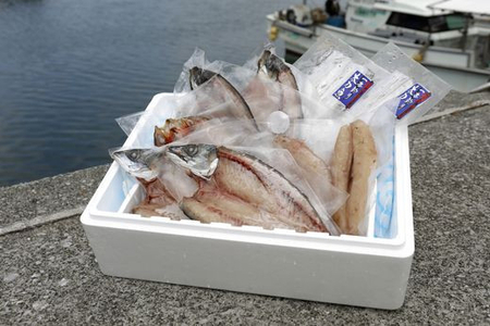 【一本釣り 匠の漁】佐田岬 玉手箱セット 5種×各2枚（計10枚） 【あじ アジ さば サバ いさき ふぐ 太刀魚 たちうお 一夜干し 】 IKTJ006