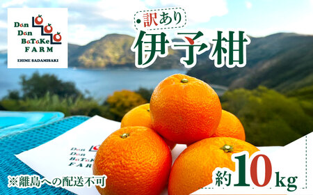 【先行予約】【訳あり】伊予柑 約10kg | 柑橘 みかん 果物 フルーツ 愛媛県産 農家直送 ※離島への配送不可 ※2026年1月中旬から順次発送予定 IKTAU002