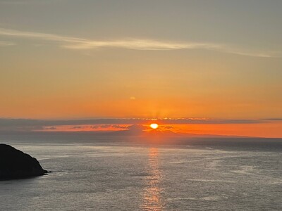 【先行予約】【訳あり】伊予柑 約10kg | 柑橘 みかん 果物 フルーツ 愛媛県産 農家直送 ※離島への配送不可 ※2026年1月中旬から順次発送予定 IKTAU002