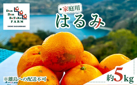 【先行予約】【家庭用】はるみ 約5kg | 柑橘 みかん 果物 フルーツ 愛媛県産 農家直送 ※離島への配送不可 ※2026年2月上旬より順次発送予定 IKTAU004