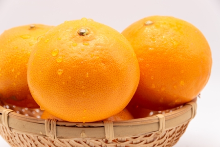 【先行予約】【訳あり】せとか 約5kg | 柑橘 みかん 果物 フルーツ 愛媛県産 農家直送 　※離島への配送不可　※2026年3月上旬より順次発送予定  IKTAU007