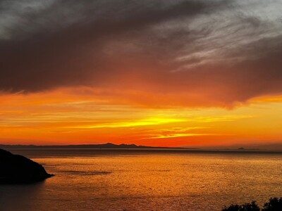 【先行予約】【訳あり】不知火 約10kg | 柑橘 みかん 果物 フルーツ 愛媛県産 農家直送 ※離島への配送不可 ※2026年2月下旬より順次発送予定 IKTAU009