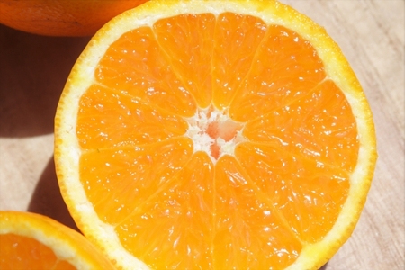 【先行予約】【家庭用】清見オレンジ 約5kg | 柑橘 みかん 果物 フルーツ 愛媛県産 農家直送　※離島への配送不可　※2026年3月中旬より順次発送予定 IKTAU010