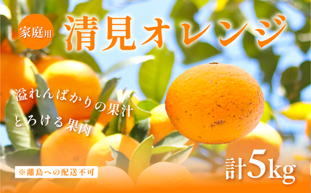 【先行予約】【家庭用】清見オレンジ計5kg ※離島への配送不可(2026年3月上旬頃より順次発送予定) IKTAC007