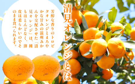 【先行予約】【家庭用】清見オレンジ計5kg ※離島への配送不可(2026年3月上旬頃より順次発送予定) IKTAC007