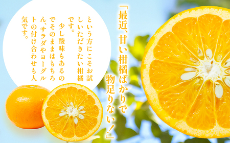 【先行予約】【家庭用】浅野農園のサンフルーツ5kg ※離島への配送不可（2026年3月中旬頃より順次発送予定） IKTAC010