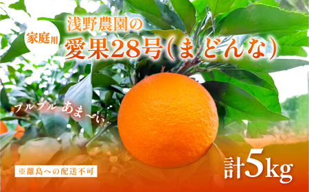 【先行予約】【数量限定】浅野農園の愛果28号（まどんな）家庭用5kg※離島への配送不可（2025年12月中旬～2026年1月中旬頃に順次発送予定） IKTAC025