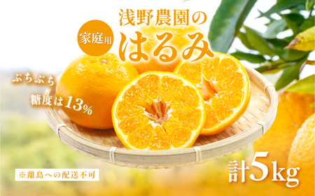 【先行予約】【家庭用】浅野農園のはるみ 計5kg ※離島への配送不可(2026年2月上旬頃より順次発送予定) IKTAC031