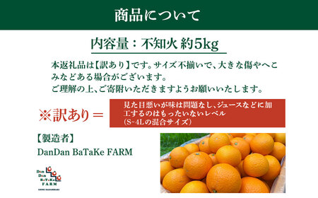 【【訳あり】不知火 約5kg 柑橘 みかん 果物 フルーツ 愛媛県産 農家直送 IKTAU016