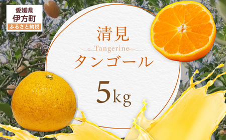 清見タンゴール【ふるさと納税 人気 おすすめ ランキング 清見タンゴール みかん ミカン オレンジ 無農薬 有機栽培 佐多岬半島 農家直送 住吉丸農園 愛媛県 伊方町 送料無料】IKTBN004