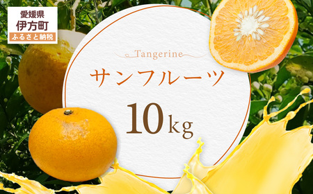 サンフルーツ【ふるさと納税 人気 おすすめ ランキング サンフルーツ みかん ミカン オレンジ 無農薬 有機栽培 佐田岬半島 農家直送 住吉丸農園 愛媛県 伊方町 送料無料】IKTBN006