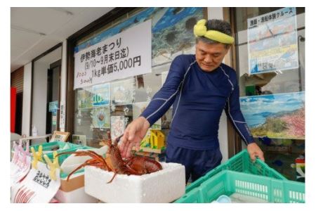 【数量限定】産地直送！活き伊勢えび 約400g×2尾　※北海道・東北地方・沖縄・離島への配送不可　※2024年9月上旬～11月上旬頃に順次発送予定