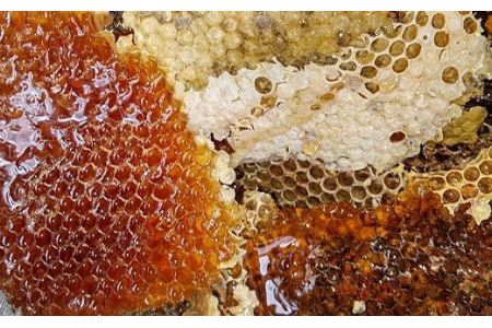 ナッツ・日本蜜蜂はちみつ・クリームセットA（はちみつ木の実100g× 1