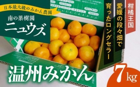 【先行予約受付中】産地直送！愛媛県産温州みかん 7kg　※2024年11月上旬～12月下旬頃に順次発送予定≪柑橘 みかん ギフト≫