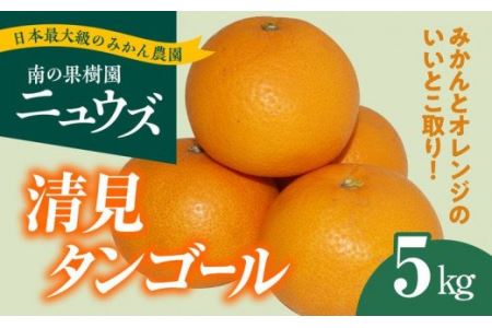 【先行予約受付中】産地直送！愛媛県産清見タンゴール 5kg ※2025年3月上旬～4月上旬頃に順次発送予定 ≪柑橘 みかん ギフト≫