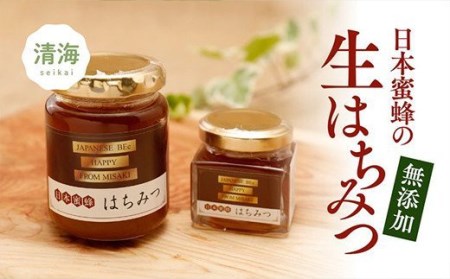 日本蜜蜂はちみつセット A（はちみつ（大）160g × 1本、はちみつ（小