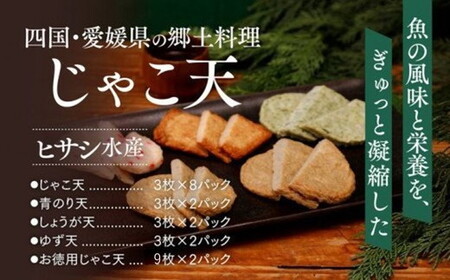 愛媛の郷土料理 ヒサシ水産 海の幸セットｂ じゃこ天 青のり天 しょうが天 ゆず天 お徳用じゃこ天 魚 揚げかまぼこ 練り物 すり身 愛媛県伊方町 ふるさと納税サイト ふるなび