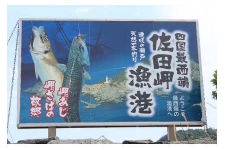 【一本釣り 匠の漁】天然三崎アジ一夜干しセット ※2023年9月より順次発送予定