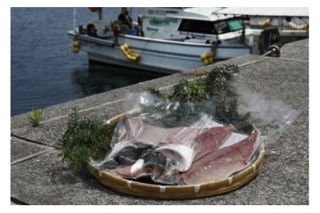 1本釣り 匠の漁 天然アジ ヤズ ブリの若魚 一本釣りセット アジ2尾 ヤズ1本相当2kg 午前中の着指定不可 北海道 東北地方 沖縄 離島への配送不可 愛媛県伊方町 ふるさと納税サイト ふるなび