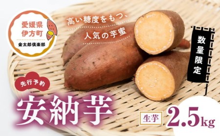【先行予約】【数量限定】安納芋 生芋（2.5kg）| さつまいも サツマイモ 産地直送　※2024年12月上旬～2025年4月下旬頃に順次発送予定