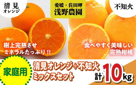 家庭用】清見オレンジ＋不知火ミックスセット計10kg【2024年3月中旬