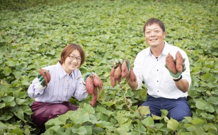 【先行受付】高糖度で人気定番！安納芋5kg ｜ さつまいも サツマイモ 焼き芋 やきいも 産地直送 スイート　※2024年10月中旬～2025年3月中旬頃まで順次発送予定