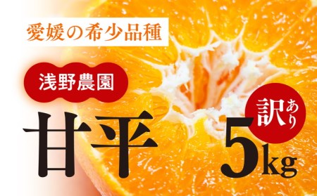 訳あり】浅野農園の甘平（かんぺい）5kg ※2024年2月中旬頃より順次発送