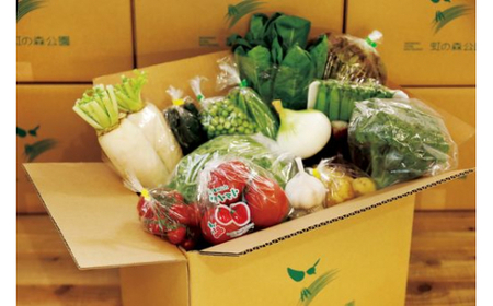 【毎月6回定期便】道の駅「虹の森公園まつの」産直市 新鮮野菜セット5～7種類｜野菜 お野菜 やさい 新鮮野菜 お試し おすすめ 季節 季節野菜 詰め合わせ 旬　厳選 産地直送 おまかせ 野菜セット ふるさと納税 愛媛県 松野町