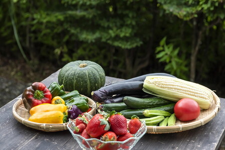 【毎月6回定期便】道の駅「虹の森公園まつの」産直市 新鮮野菜セット5～7種類｜野菜 お野菜 やさい 新鮮野菜 お試し おすすめ 季節 季節野菜 詰め合わせ 旬　厳選 産地直送 おまかせ 野菜セット ふるさと納税 愛媛県 松野町