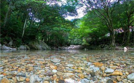 四万十川源流、森の国「水際のロッジ」1泊2日　朝夕食付き1名様宿泊チケット ◇　※着日指定不可