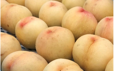 宗家　源吉兆庵 希少な清水白桃を贅沢にまるごとひとつ！プレミアム桃泉果（4個入り）◇ | 宗家 源吉兆庵 和菓子 お菓子 清水白桃 白桃 もも モモ 桃 限定 高級 ギフト 贈り物　贈答 お祝い プレミアム 贅沢 スイーツ 愛媛県 松野町 お取り寄せ