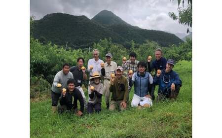 宗家　源吉兆庵 希少な清水白桃を贅沢にまるごとひとつ！プレミアム桃泉果（4個入り）◇ | 宗家 源吉兆庵 和菓子 お菓子 清水白桃 白桃 もも モモ 桃 限定 高級 ギフト 贈り物　贈答 お祝い プレミアム 贅沢 スイーツ 愛媛県 松野町 お取り寄せ