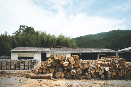 焚付端材 約12kg(1箱/スギ・ヒノキ)(約10kg~14kg)【「森の国」松野町の本気】 | 薪 針葉樹 自然乾燥 薪ストーブ アウトドア キャンプ 料理 ピザ窯 燃料 燃焼 ※離島への配送不可