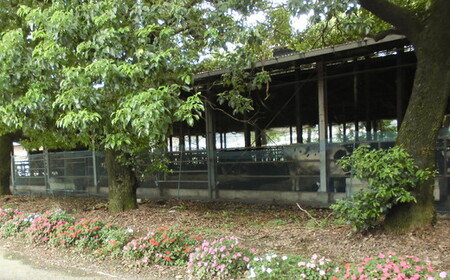 【3ヶ月定期便】四国乳業の夕しぼり6本セット（500ml×6本×3回） ｜ 愛媛県産 牛乳 ミルク みるく 四国乳業 らくれん 夕しぼり 夕方搾り 愛媛 ※離島への配送不可