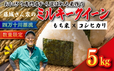【おにぎり専門店御用達！】藤城さん家のミルキークイーン5kg【令和7年産】 ｜ ご飯 白米 お米 5kg 令和7年 定期便 令和7年産 精米済み 愛媛県鬼北町　※2025年9月下旬頃より順次発送予定