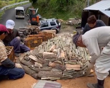 鬼の炭花～おにのすみか～樫の木炭　切炭3kg　＜薪 ストーブ アウトドア キャンプ ピザ ボイラー 自然 火 炎 燃料 焚火 暖炉 窯焼き  焚火 キャンプファイヤー 愛媛県 鬼北町＞