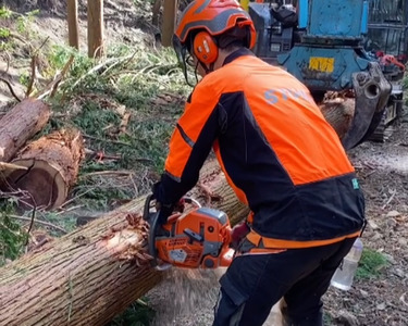 鬼の炭花～おにのすみか～樫の木炭　切炭3kg　＜薪 ストーブ アウトドア キャンプ ピザ ボイラー 自然 火 炎 燃料 焚火 暖炉 窯焼き  焚火 キャンプファイヤー 愛媛県 鬼北町＞