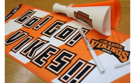 \試合の必需品!/バイクス応援セット(タオル・メガホン・ペンライト)