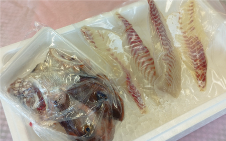 鯛 刺身 800g アラ 付 鯛