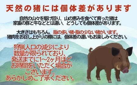 ジビエ 猪肉 3種 詰め合わせ 600g 猪 ジビエ 愛南ジビエ